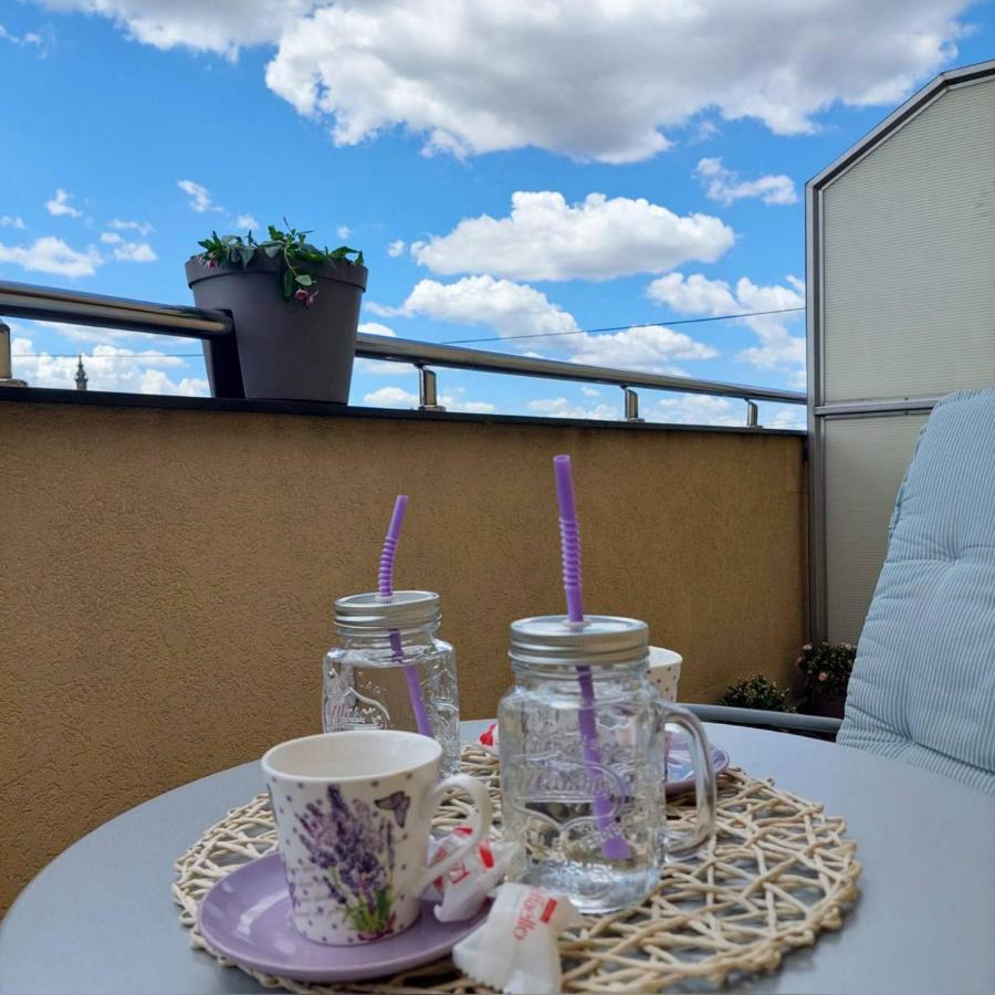 Soul Stan Na Dan Appartement Novi Sad Buitenkant foto