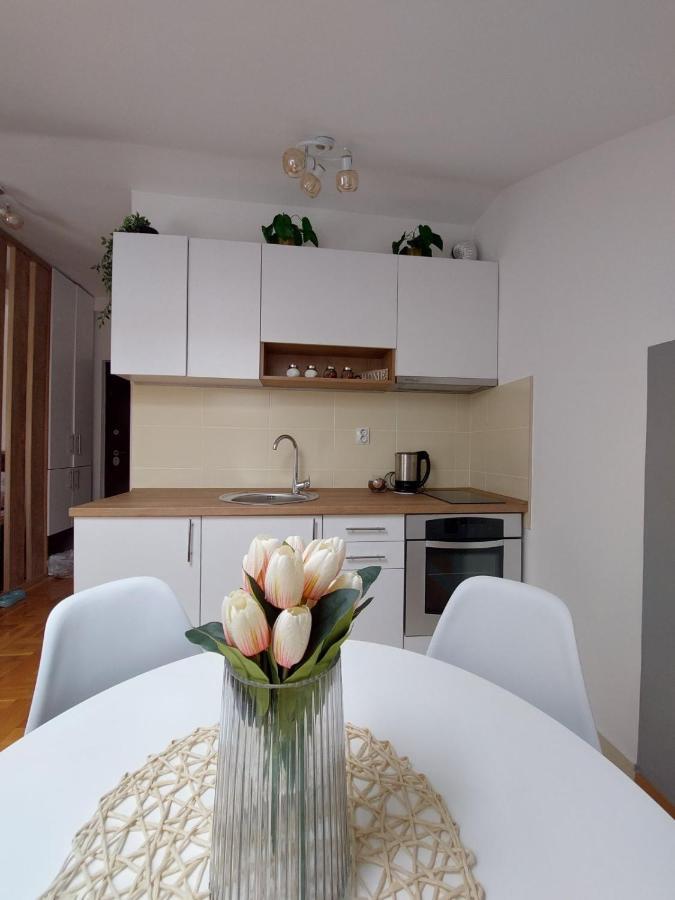Soul Stan Na Dan Appartement Novi Sad Buitenkant foto
